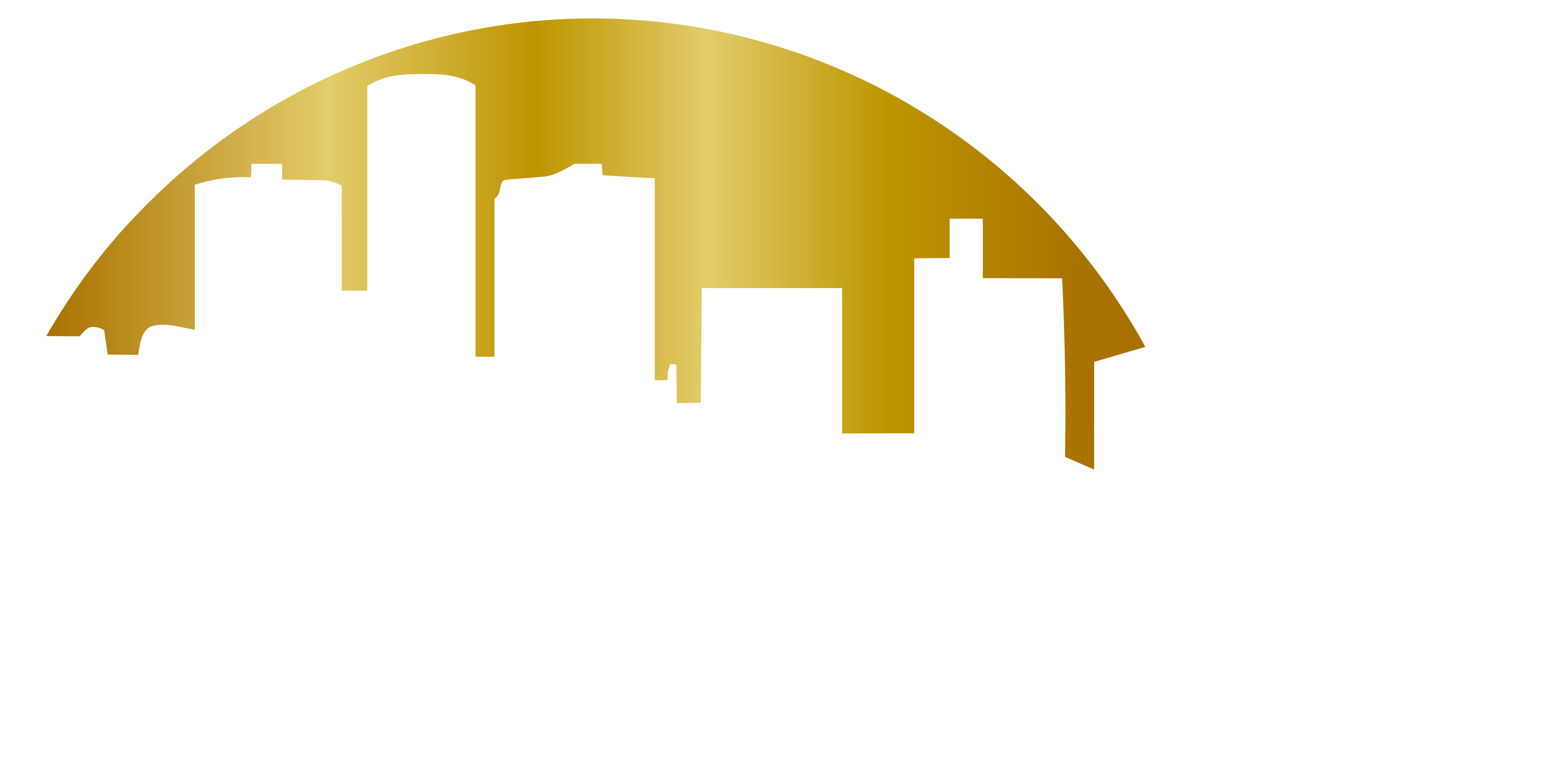 VIP LIMO LLC